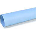 CARTULINA 50*70 CELESTE X 10