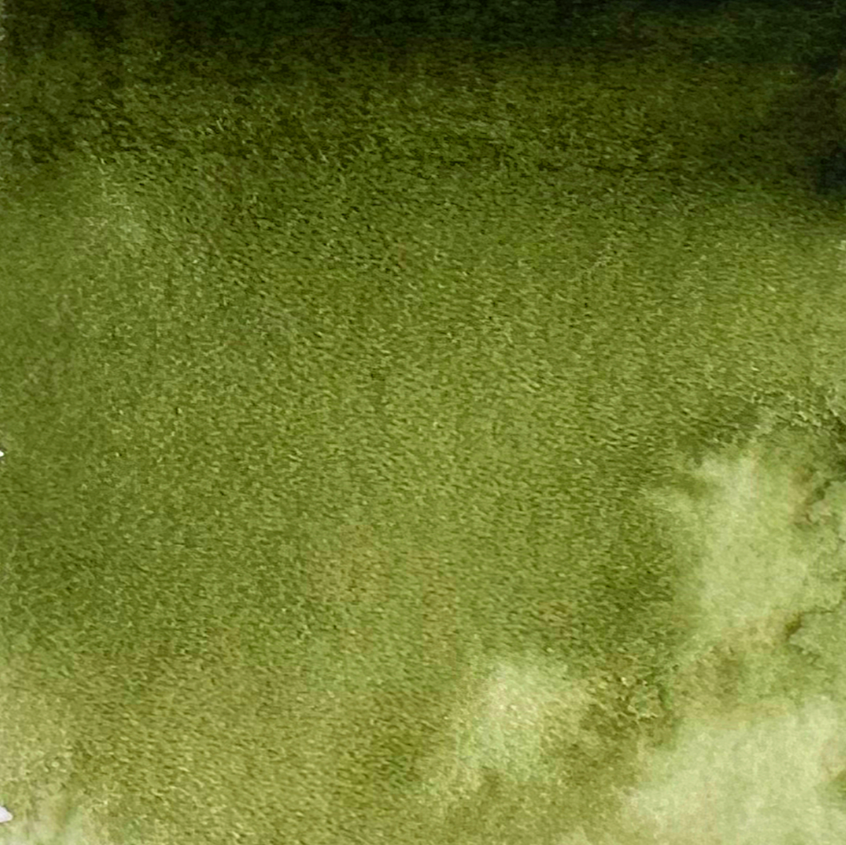 Acuarela Rockwell 116 Olive Green 15 ml