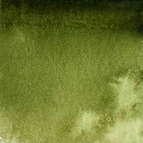 Acuarela Rockwell 116 Olive Green 15 ml