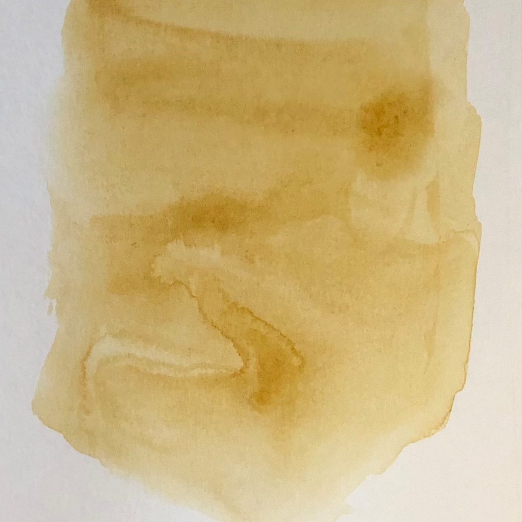 Acuarela Rockwell 245 Gold Ochre 15 ml
