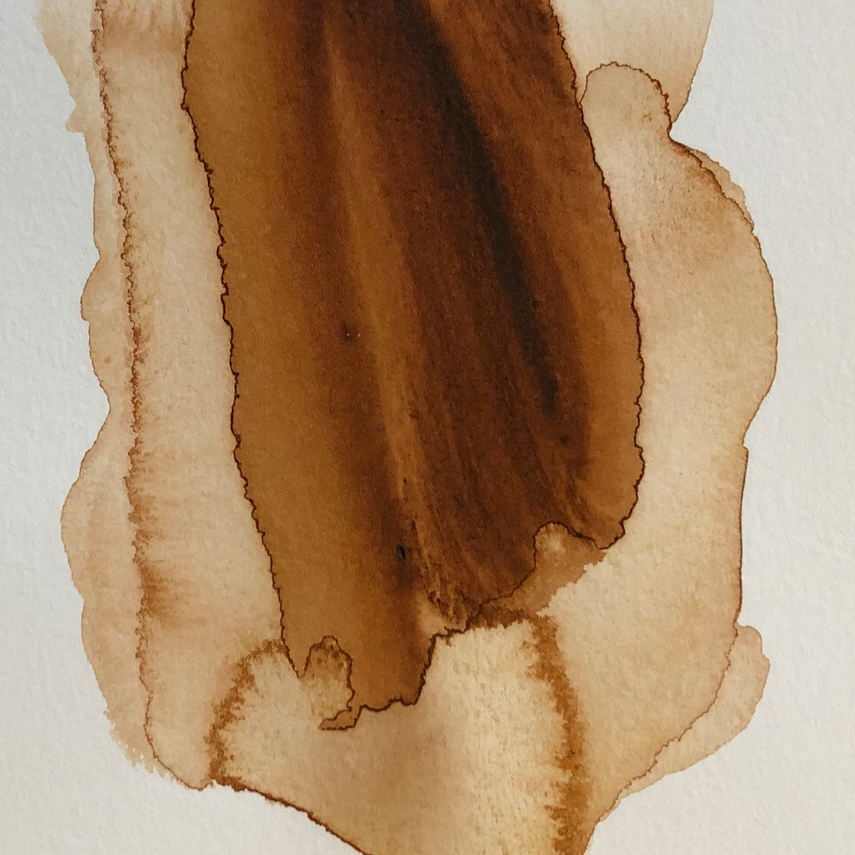 Acuarela Rockwell M231 Burnt Umber 15 ml